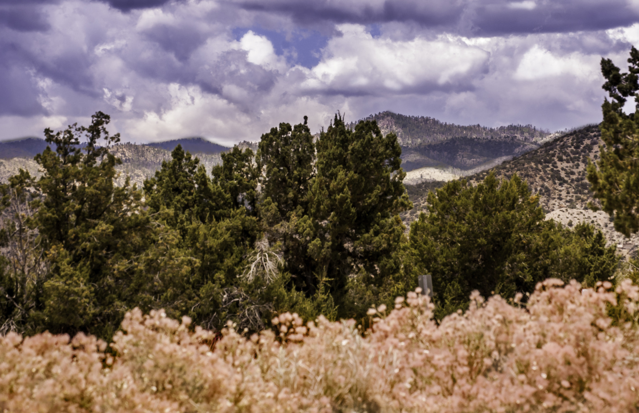 Nikon D80 sample photo. New mexico summer landscape photography