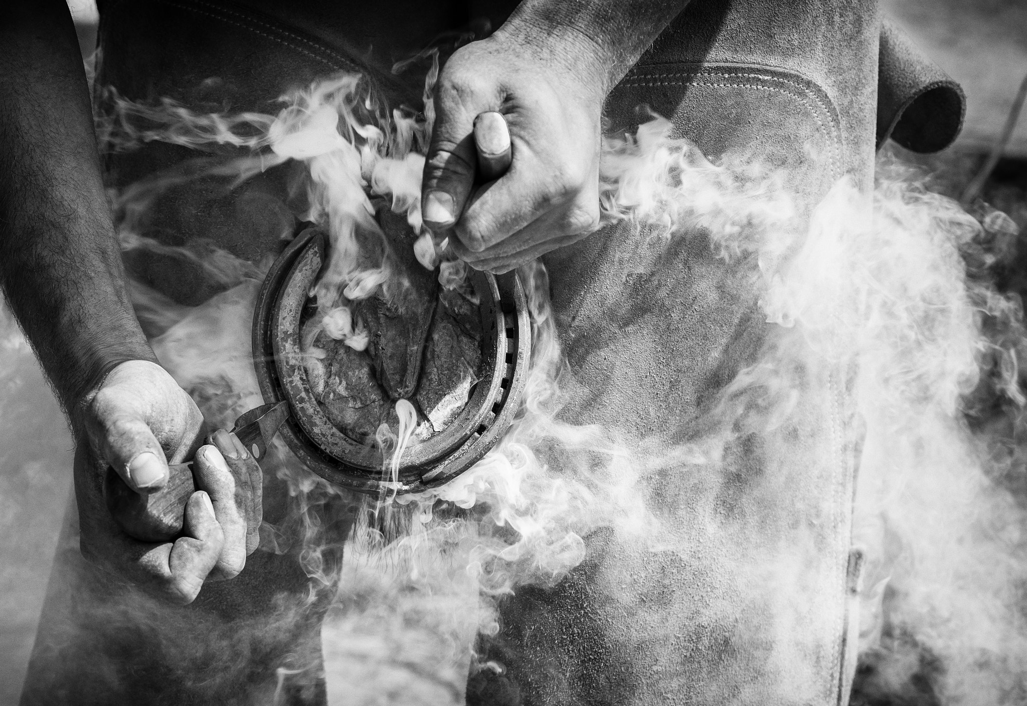 Tamron SP AF 90mm F2.8 Di Macro sample photo. The farrier photography