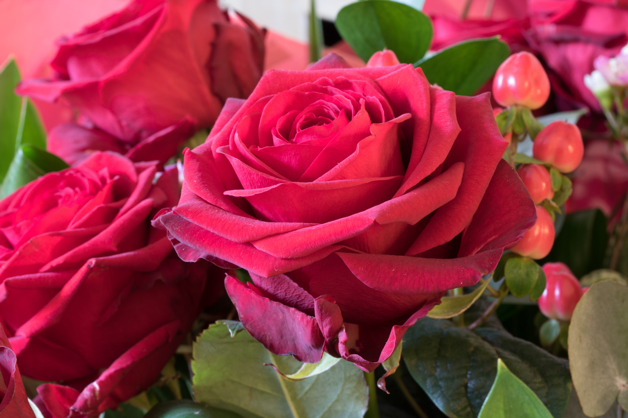 Canon EF-S 60mm F2.8 Macro USM sample photo. Rose photography
