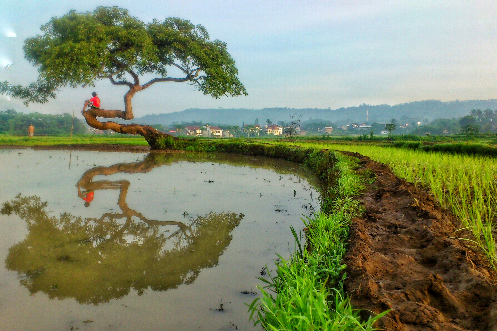 Sony Ericsson Xperia ray sample photo. My village.. indonesia  photography