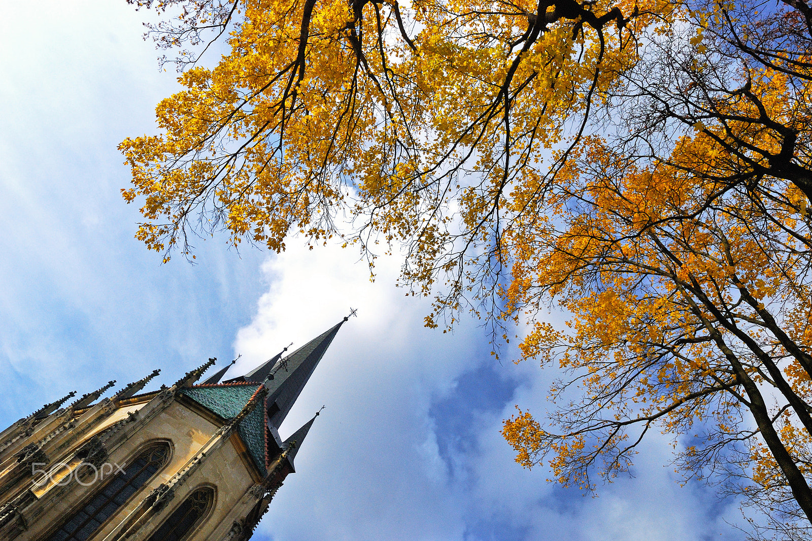 Nikon D80 sample photo. Autumn beauty in spišský Štvrtok photography