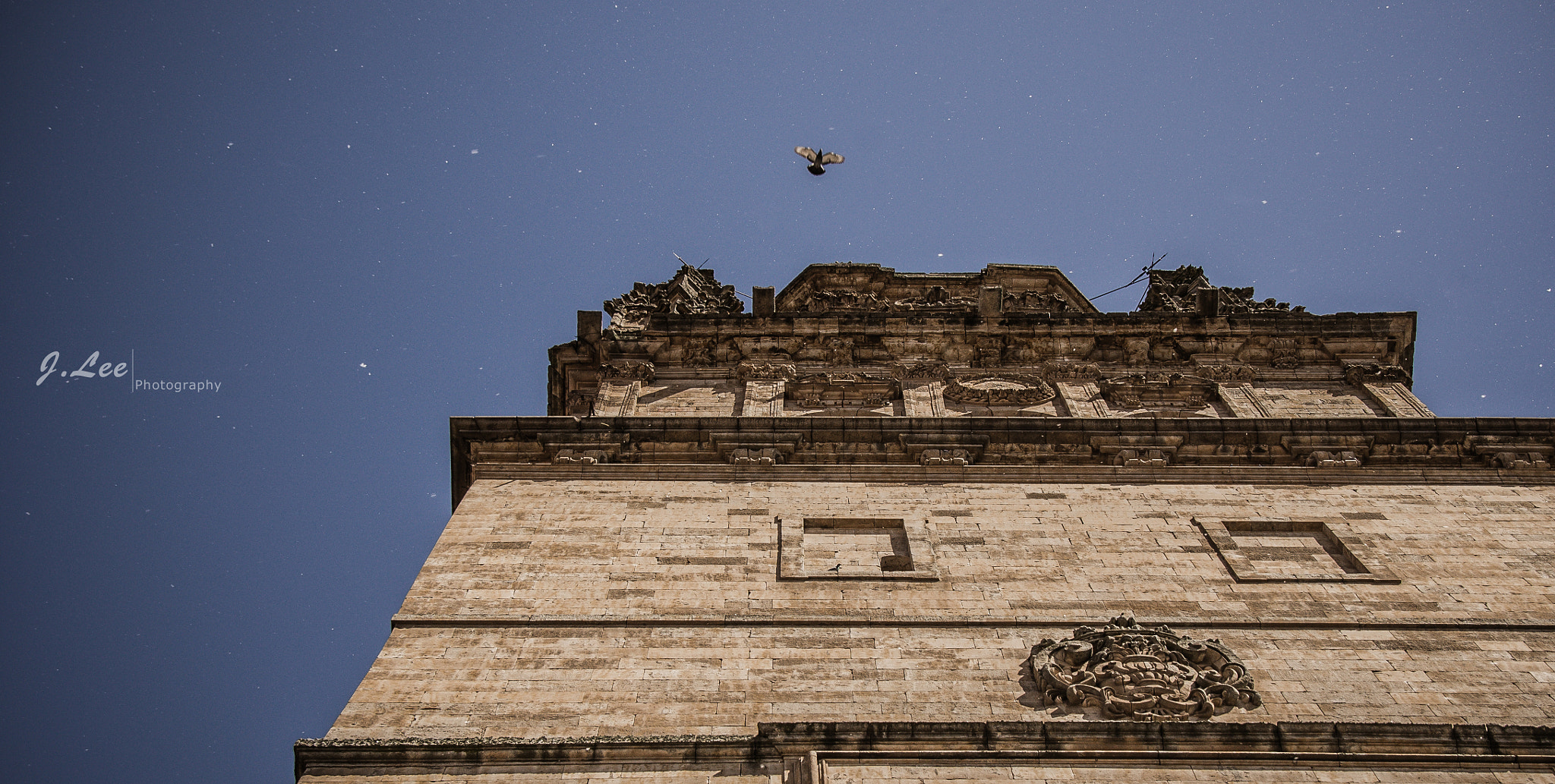 Sony SLT-A33 sample photo. Flight - salmanca, spain photography