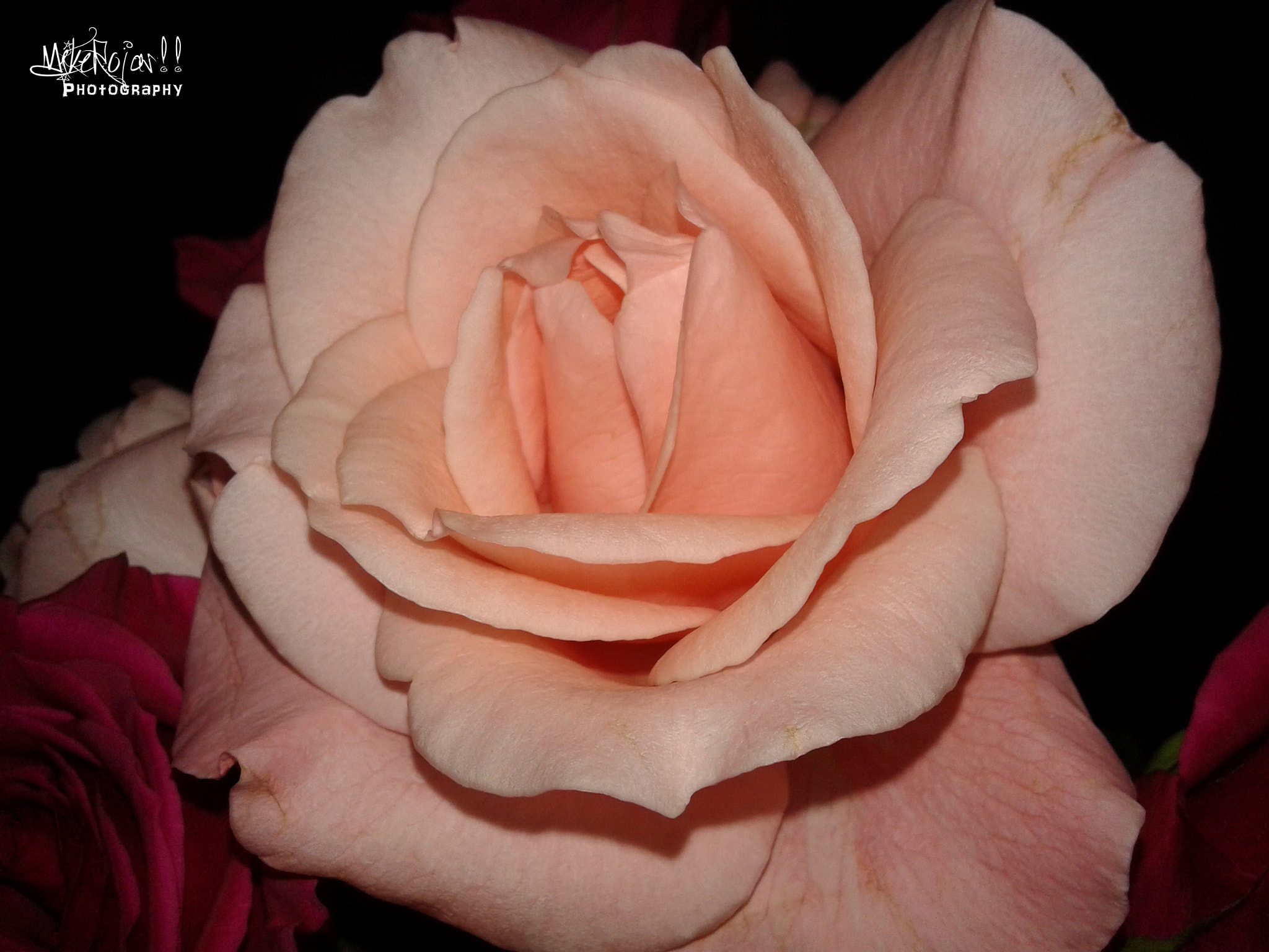 Samsung Galaxy Core2 sample photo. La delicadeza photography
