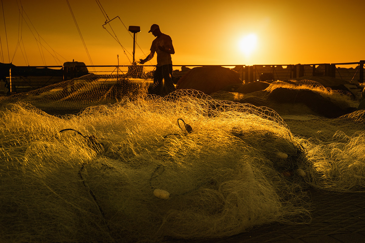 Sony 50mm F2.8 Macro sample photo. Port jaffa (yafo) photography