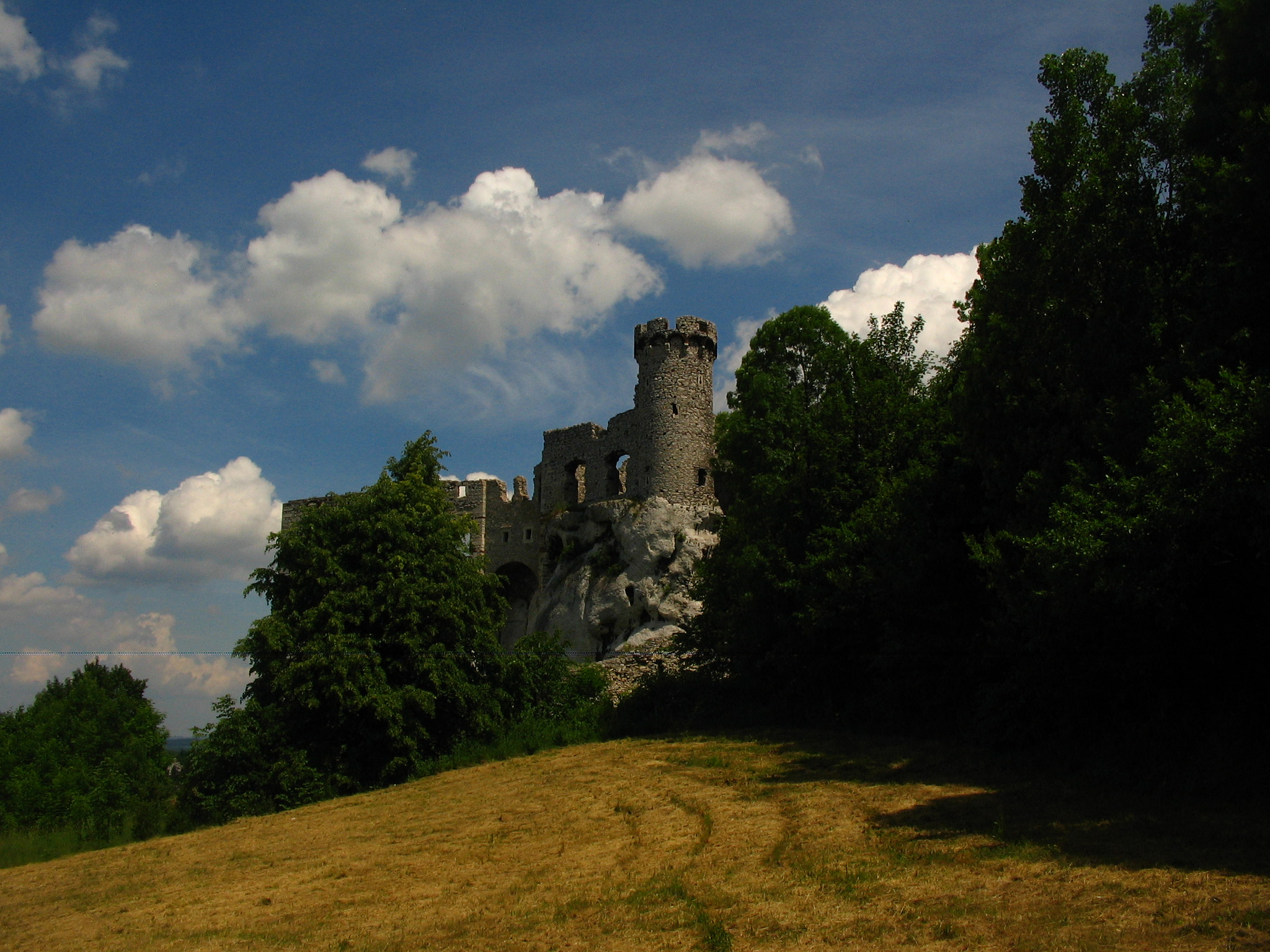 Canon POWERSHOT A85 sample photo. Castle ogrodzieniec. photography