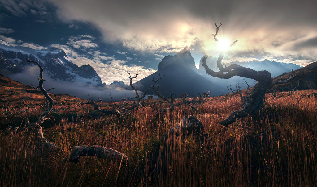 Between the Wild by Max Rive on 500px.com