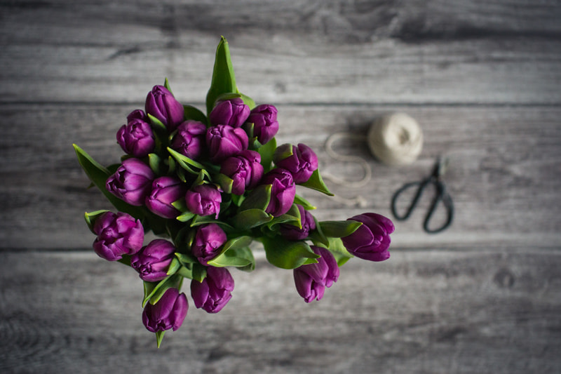 Sony a99 II + Sigma 30mm F1.4 EX DC HSM sample photo. Purple tulips, from above photography