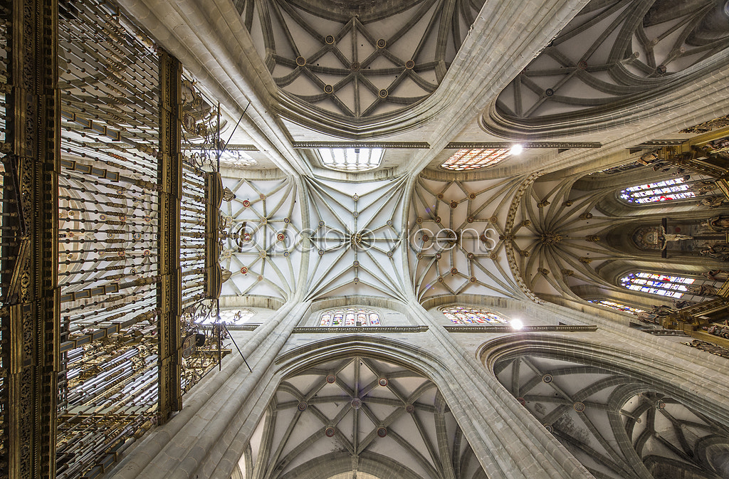 Olympus E-5 + OLYMPUS  7-14mm Lens sample photo. Catedral de astorga photography