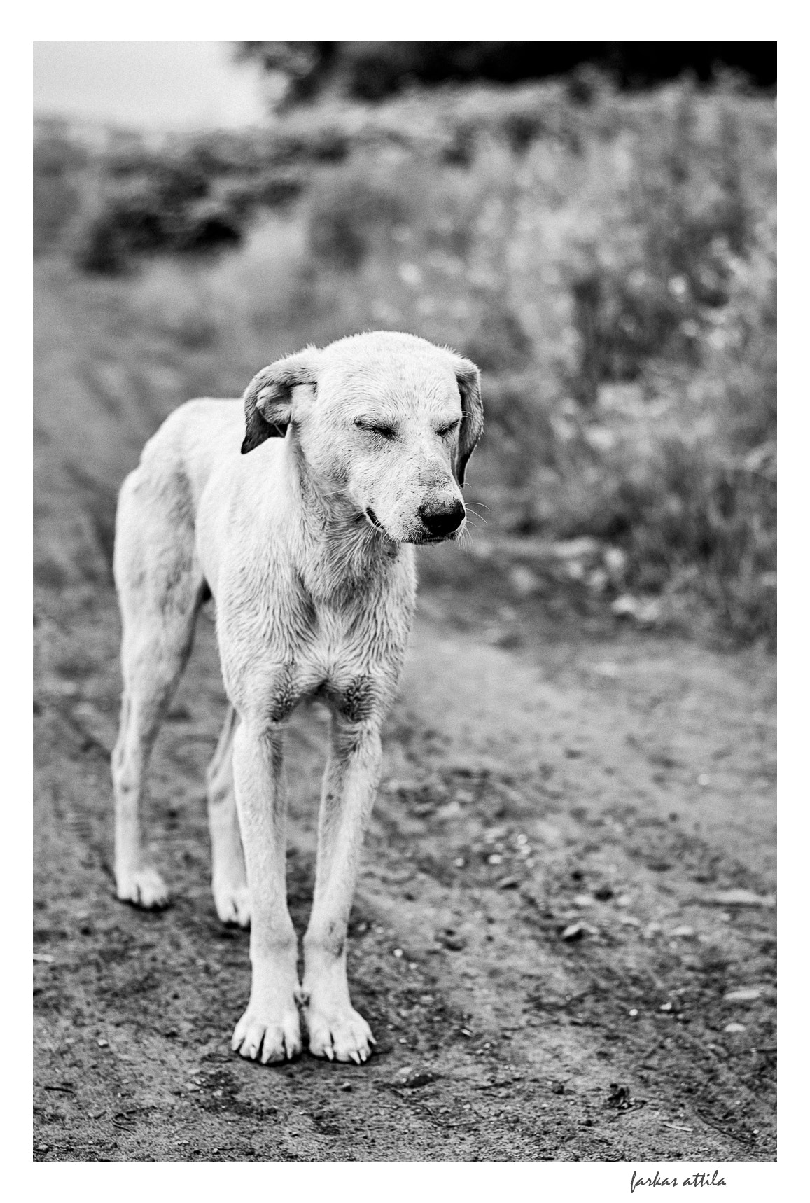 Nikon D60 + Nikon AF-S Nikkor 50mm F1.8G sample photo. Fate... photography