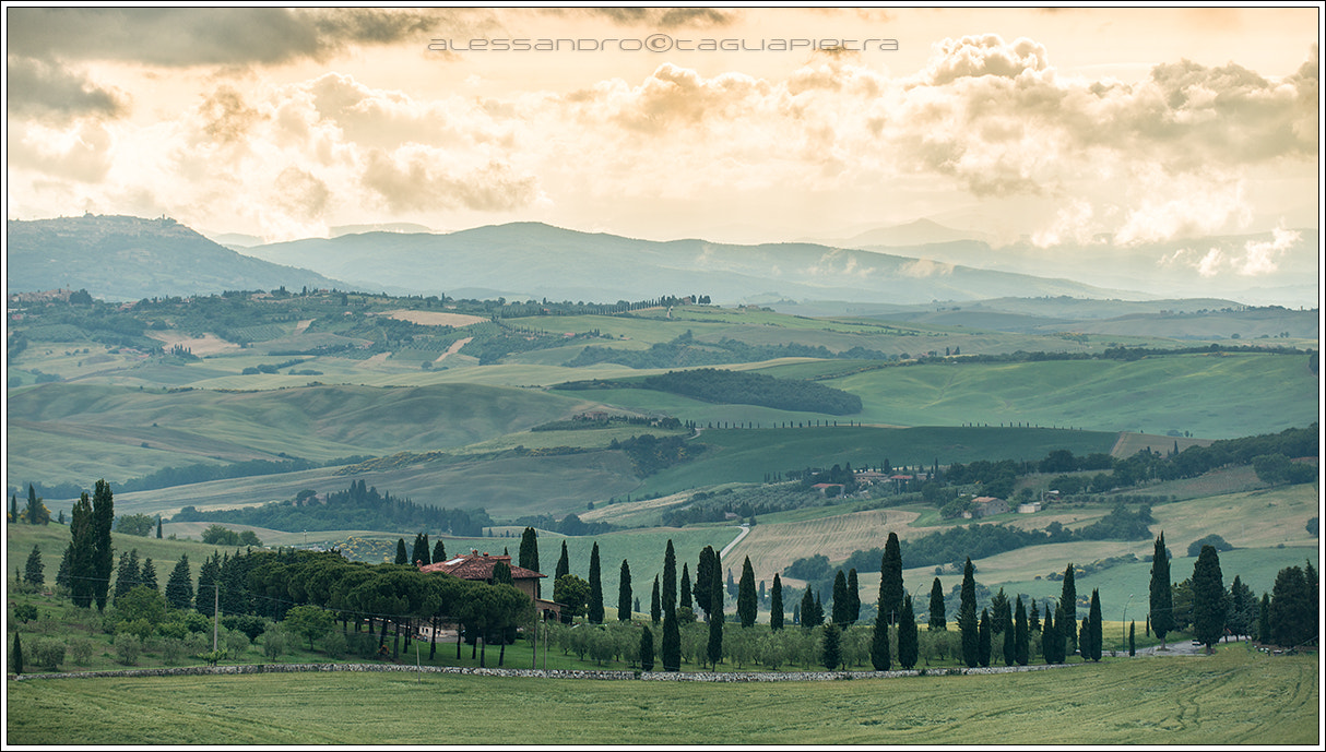 Sigma APO Macro 180mm F3.5 EX DG HSM sample photo. Val d'orcia photography