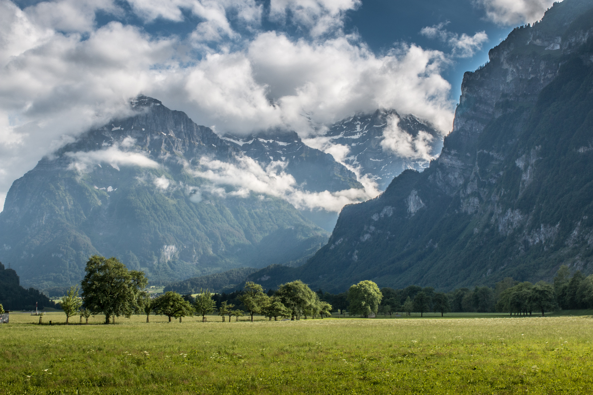 Canon EOS 70D + Canon EF 35mm F1.4L USM sample photo. Meadow breeze iv photography