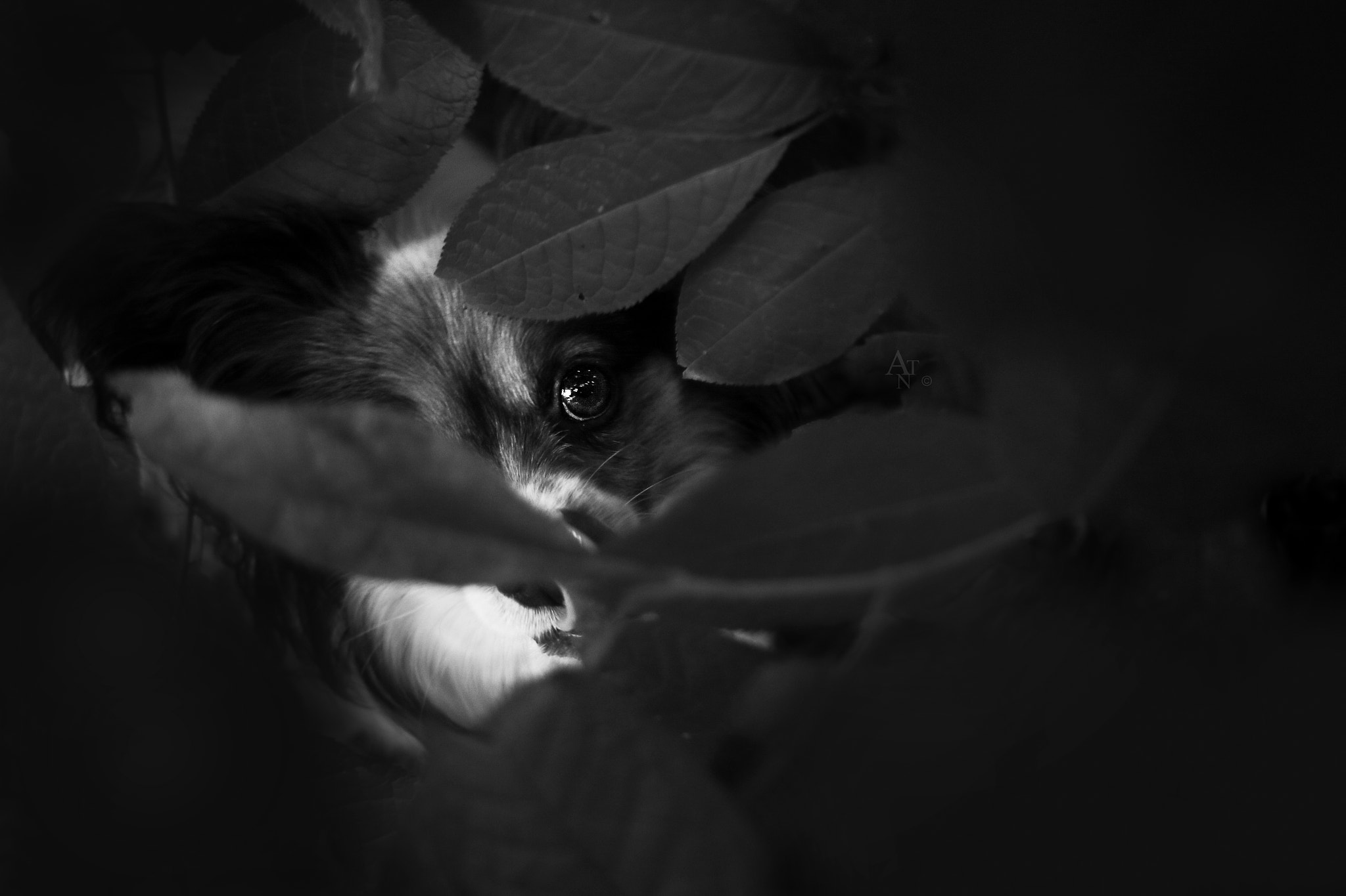 Canon EF 28-80mm f/3.5-5.6 sample photo. There will always be a light in the darkness. you just have to keep looking photography