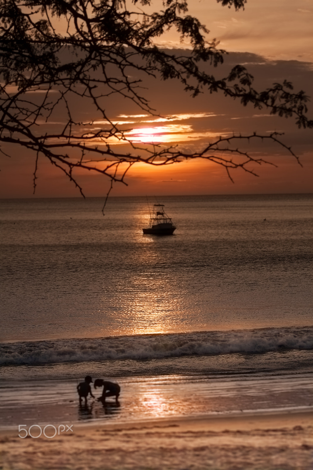 Canon EOS 500D (EOS Rebel T1i / EOS Kiss X3) sample photo. Magnificent moments photography