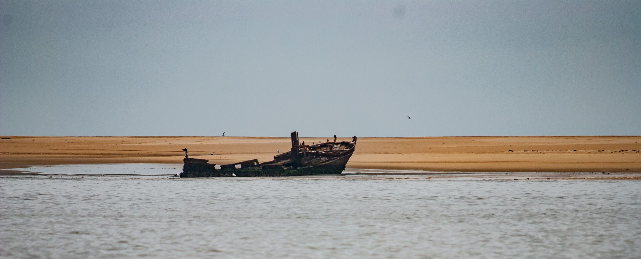 Nikon D80 sample photo. Skeletton coast photography