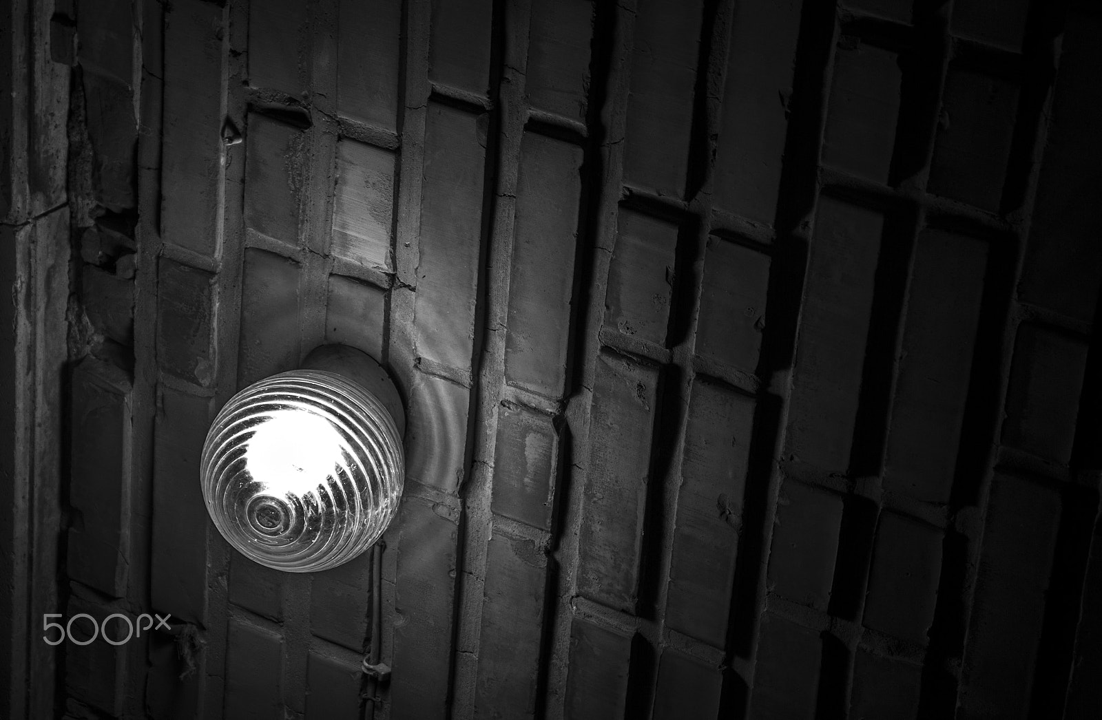 Canon EOS 550D (EOS Rebel T2i / EOS Kiss X4) sample photo. A light in the yard photography
