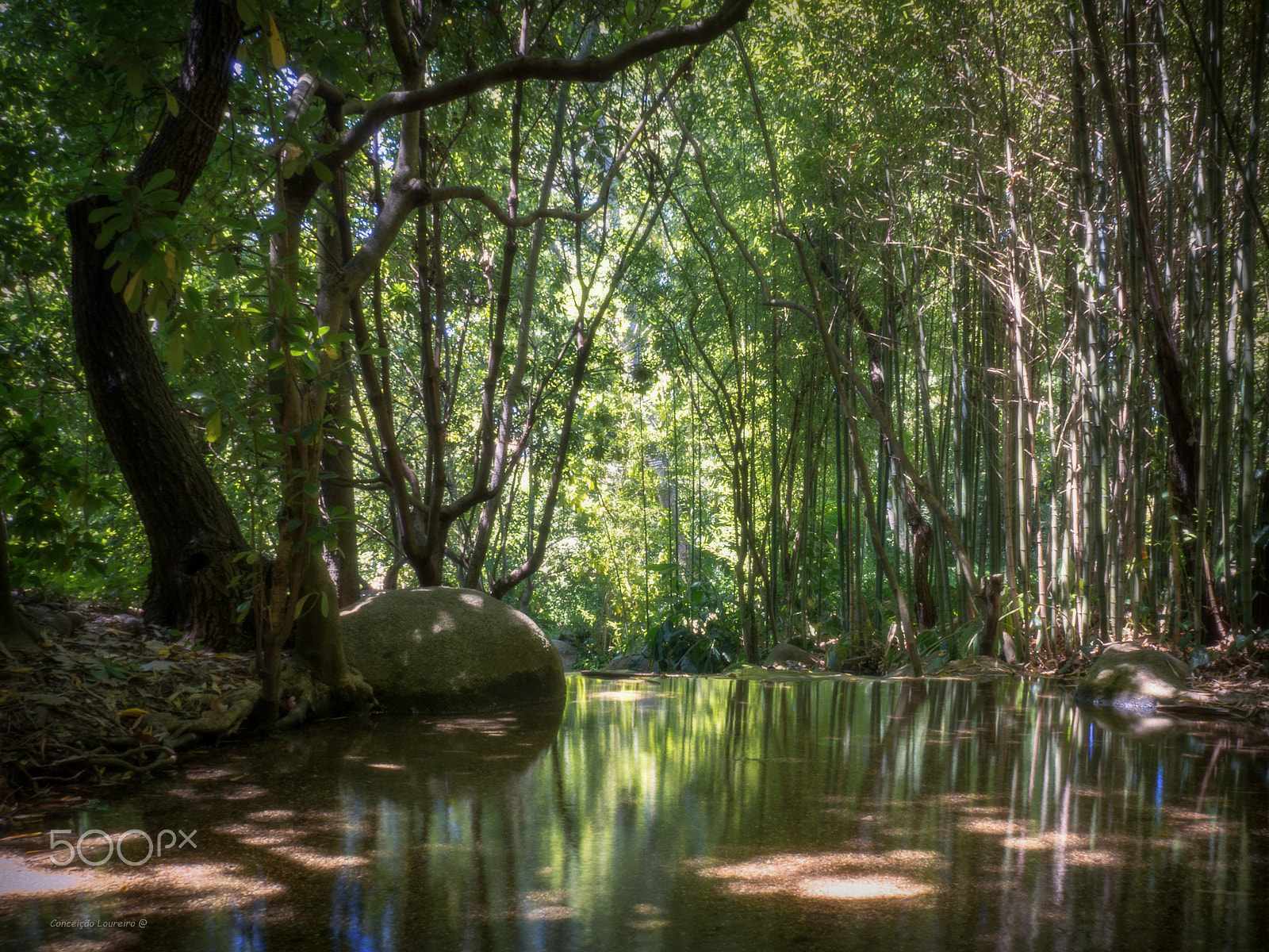 OLYMPUS M.14-150mm F4.0-5.6 II sample photo. A green serenity photography