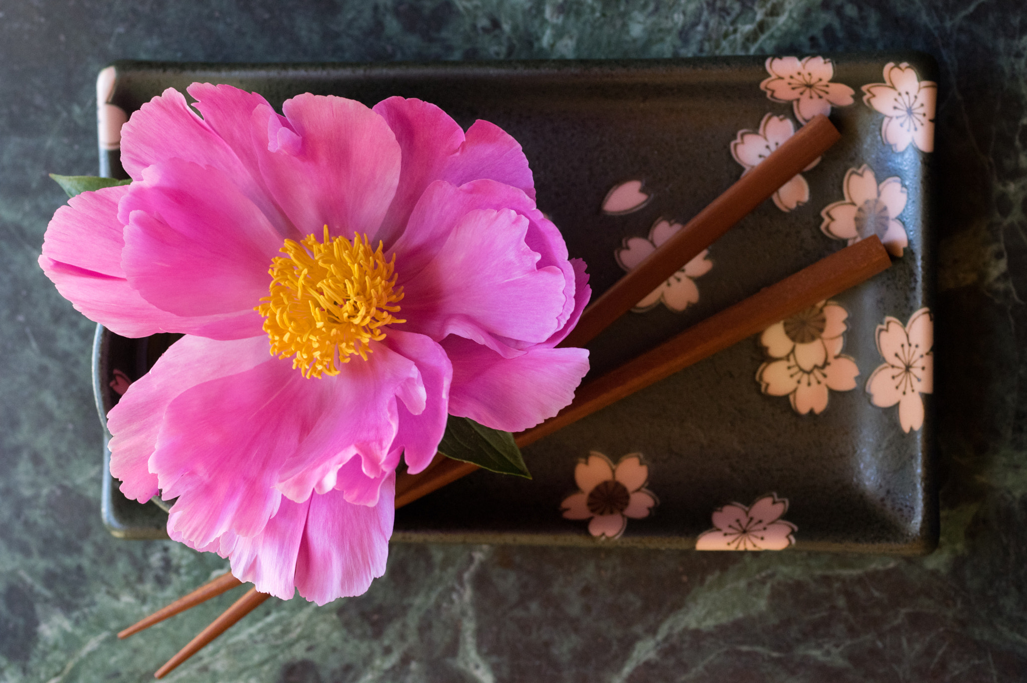 Pentax K-3 + smc PENTAX-FA Macro 50mm F2.8 sample photo. Peony on sushi plate photography