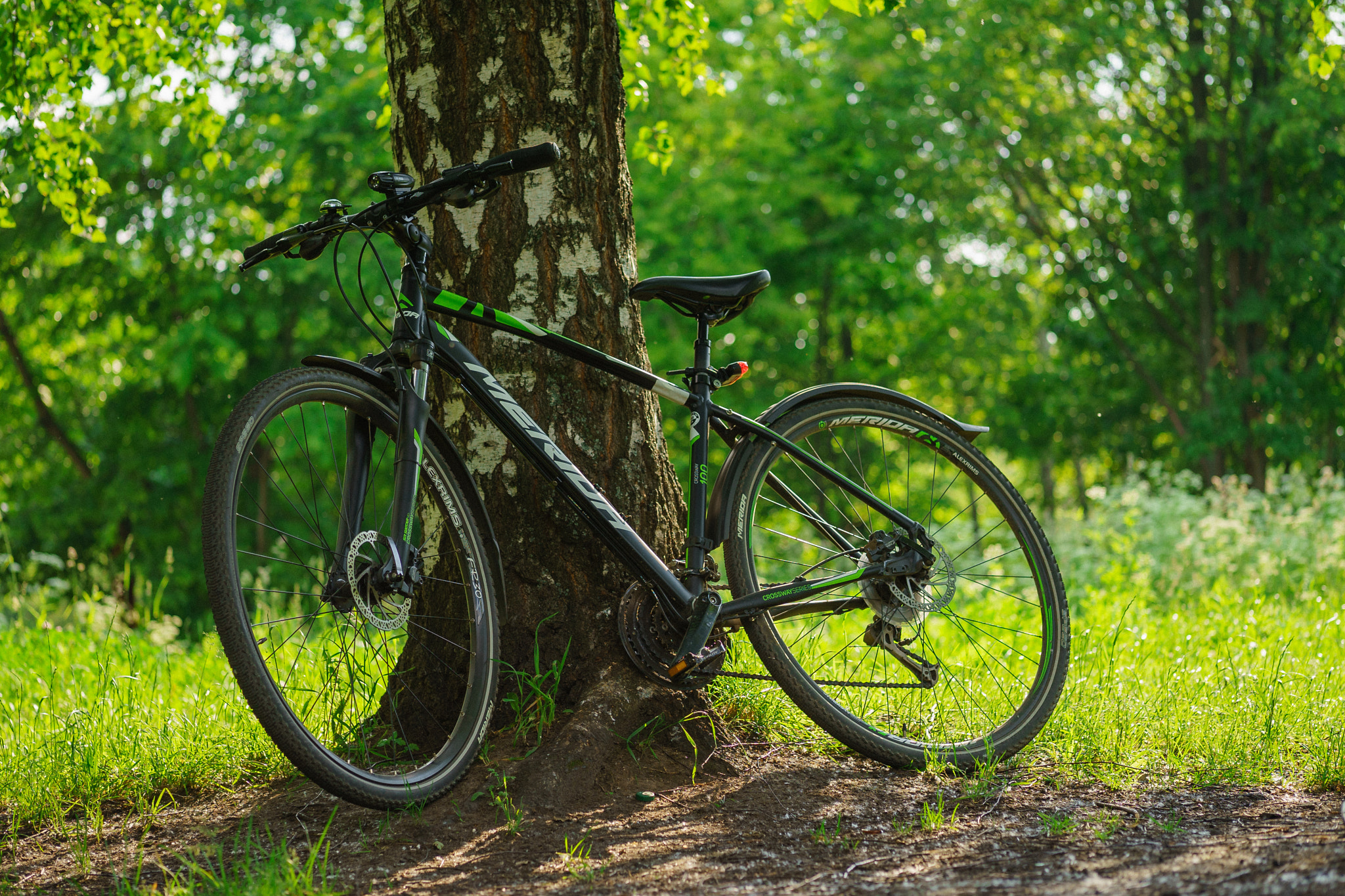 Sony a7 II + E 60mm F2.8 sample photo. Dsc00662.jpg photography