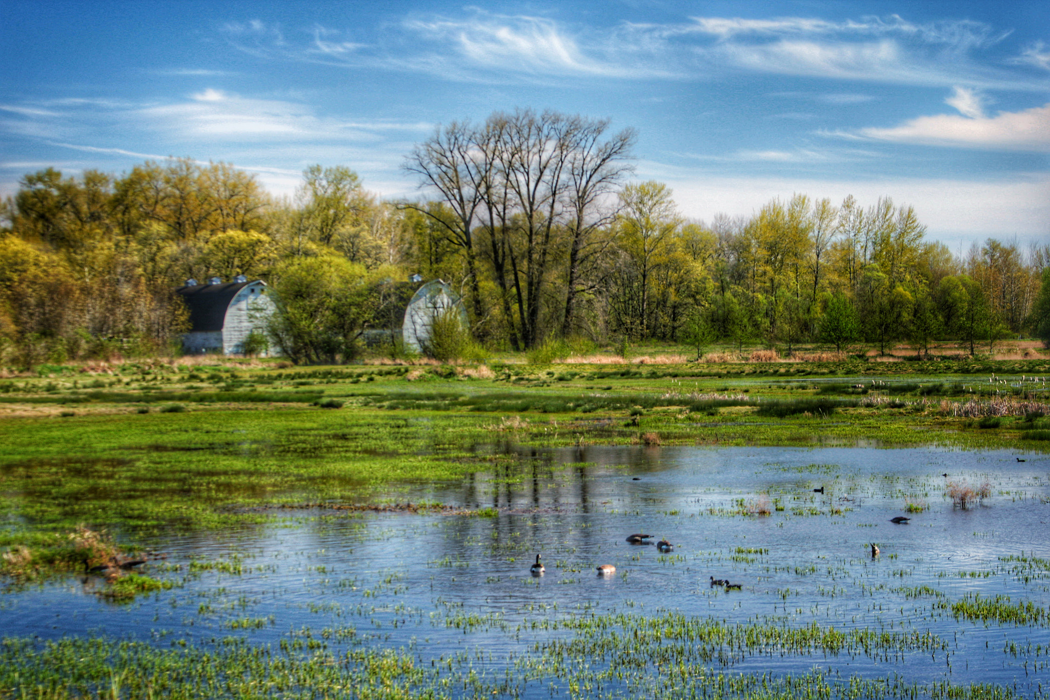Canon EF 28-135mm F3.5-5.6 IS USM sample photo. Twin barns photography