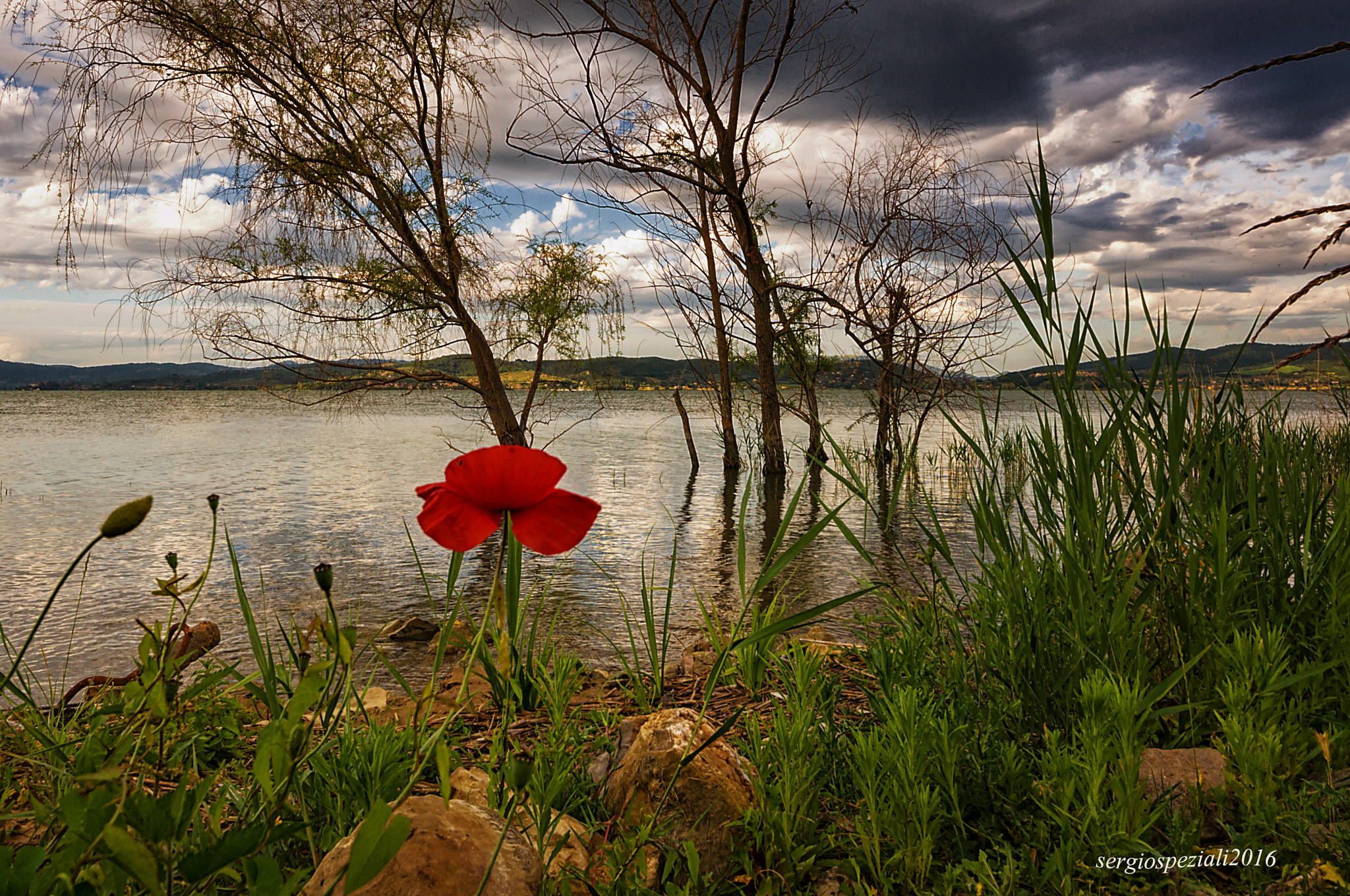 Sigma 8-16mm F4.5-5.6 DC HSM sample photo. Lonely lake photography