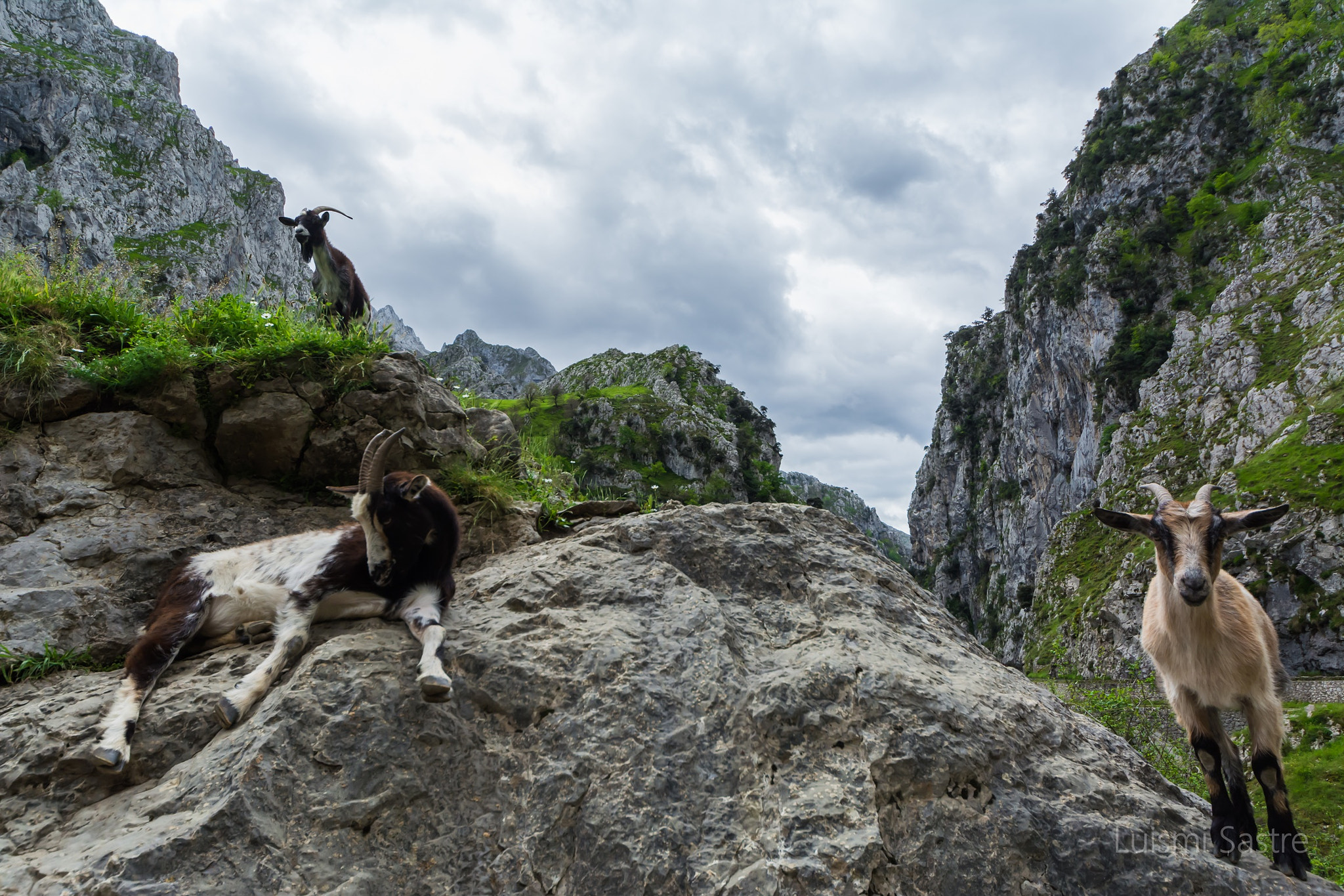 Sigma 8-16mm F4.5-5.6 DC HSM sample photo. Ruta del cares photography
