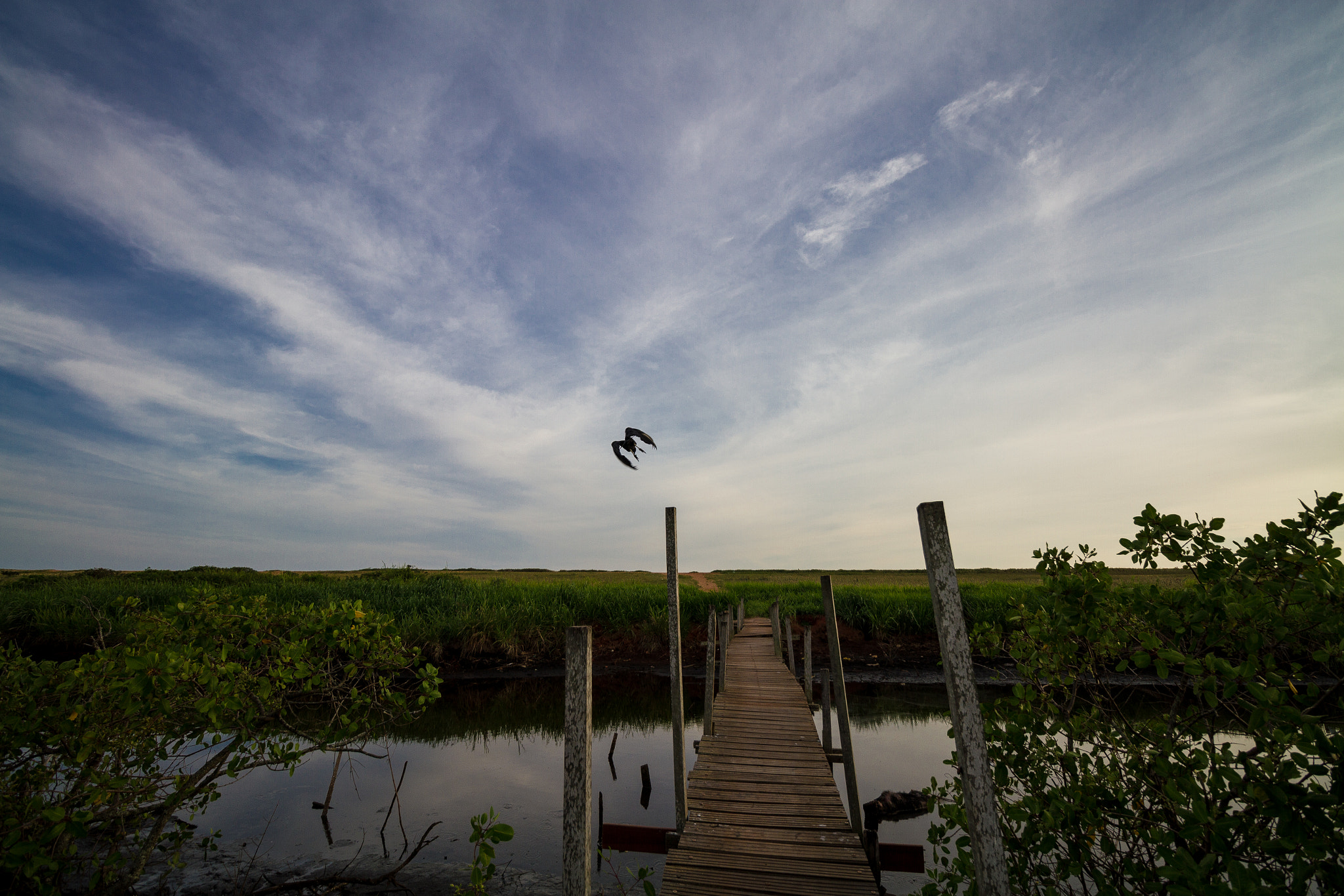 Canon EF-S 10-18mm F4.5–5.6 IS STM sample photo