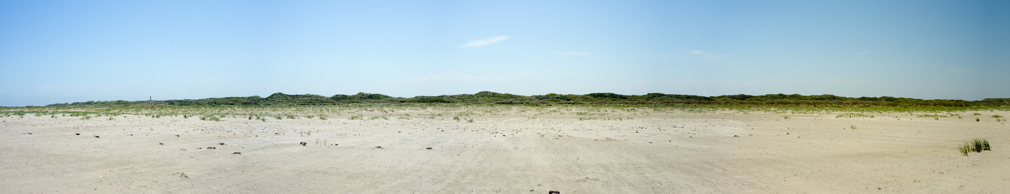 Nikon D800 + AF Nikkor 50mm f/1.8 sample photo. Lost in the dunes photography