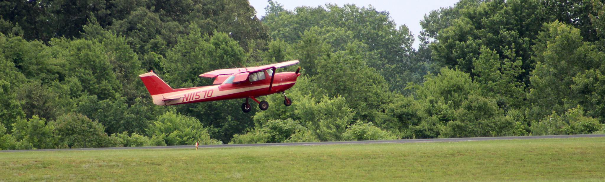 Canon EF75-300mm f/4-5.6 sample photo
