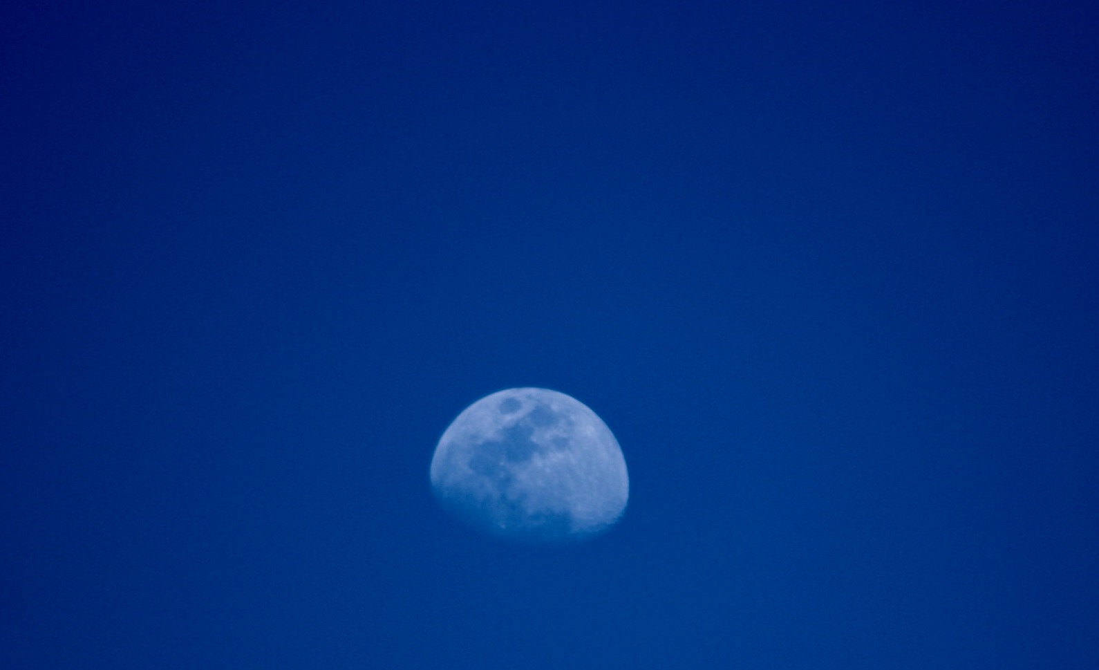 Canon EF75-300mm f/4-5.6 sample photo