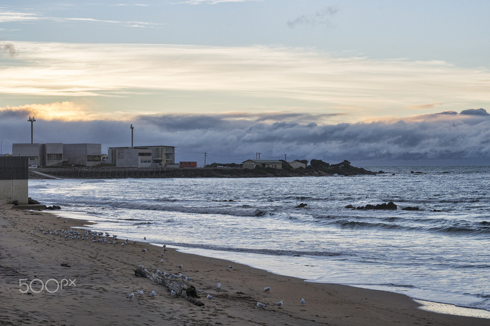 Minolta AF 80-200mm F2.8 HS-APO G sample photo. From the boardwalk photography