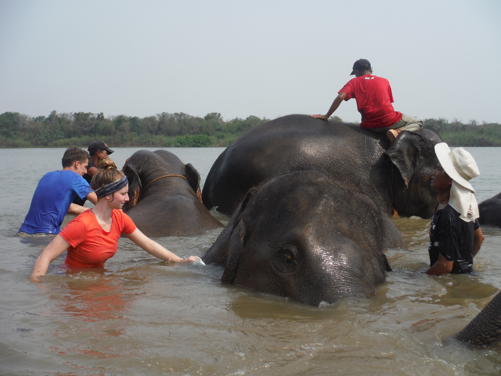 Fujifilm FinePix XP70 XP71 XP75 sample photo. Elephant bath photography