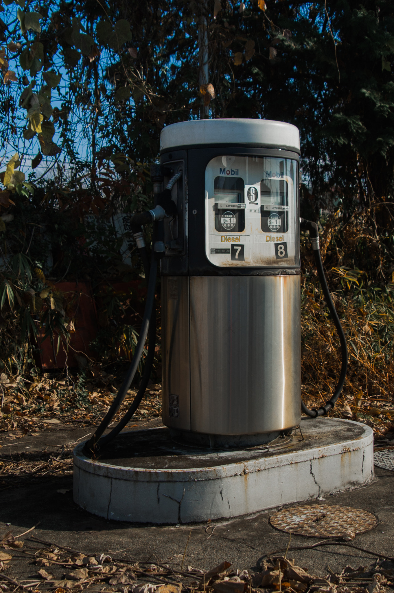 Nikon D50 sample photo. Gasoline photography
