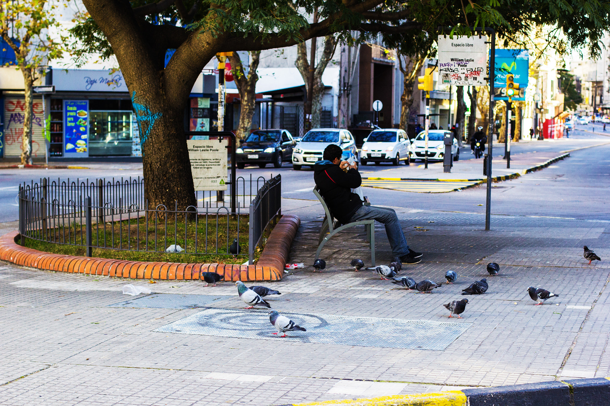 Canon EOS 60D + Canon EF 50mm F1.4 USM sample photo. Pausa... photography