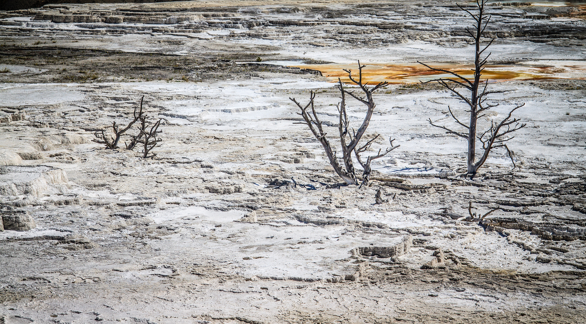 Canon EF-S 17-85mm F4-5.6 IS USM sample photo. A post-apocalyptic view at the yellowstone photography