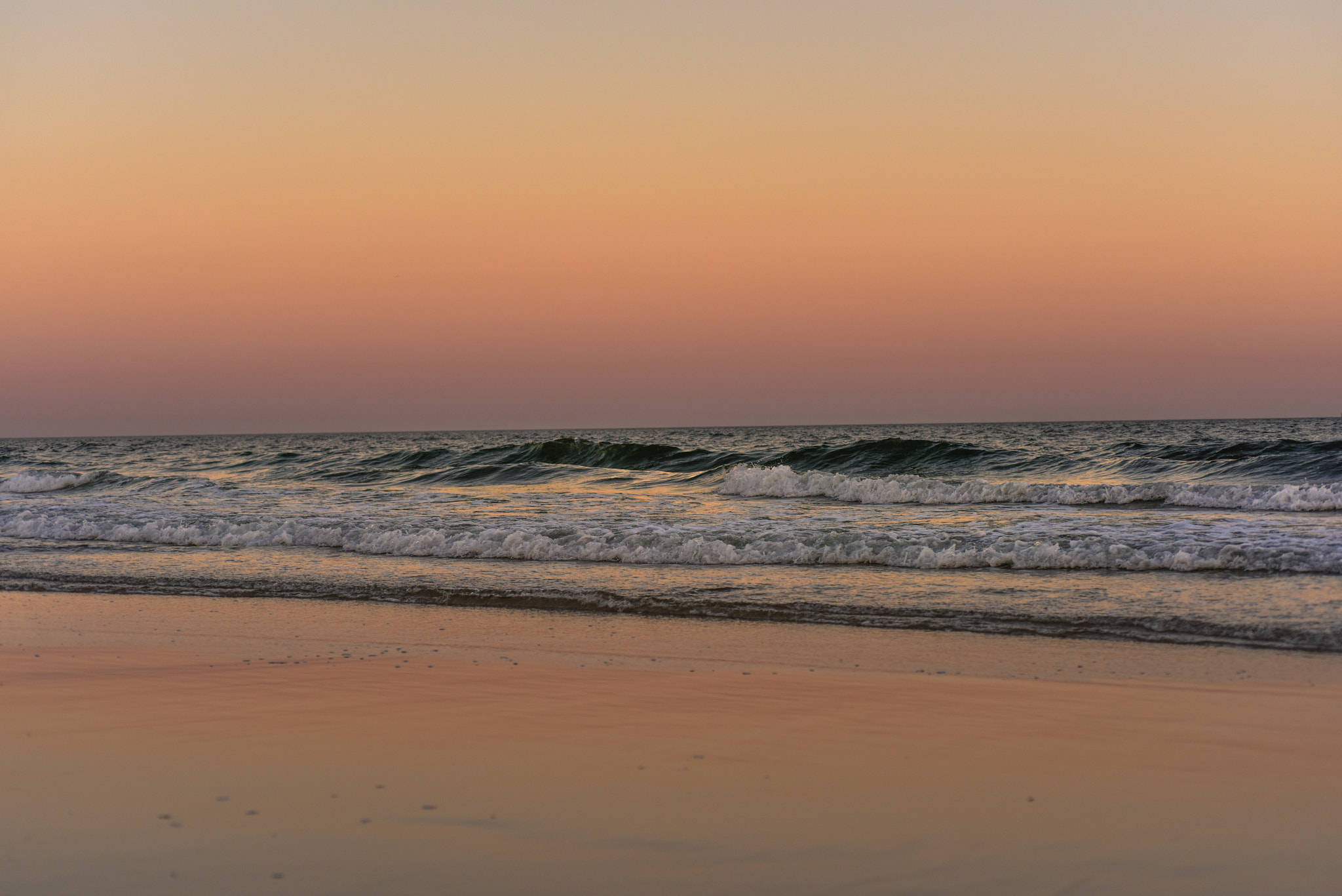 Nikon D810 + Nikon AF Micro-Nikkor 60mm F2.8D sample photo. The longer wave lengths photography