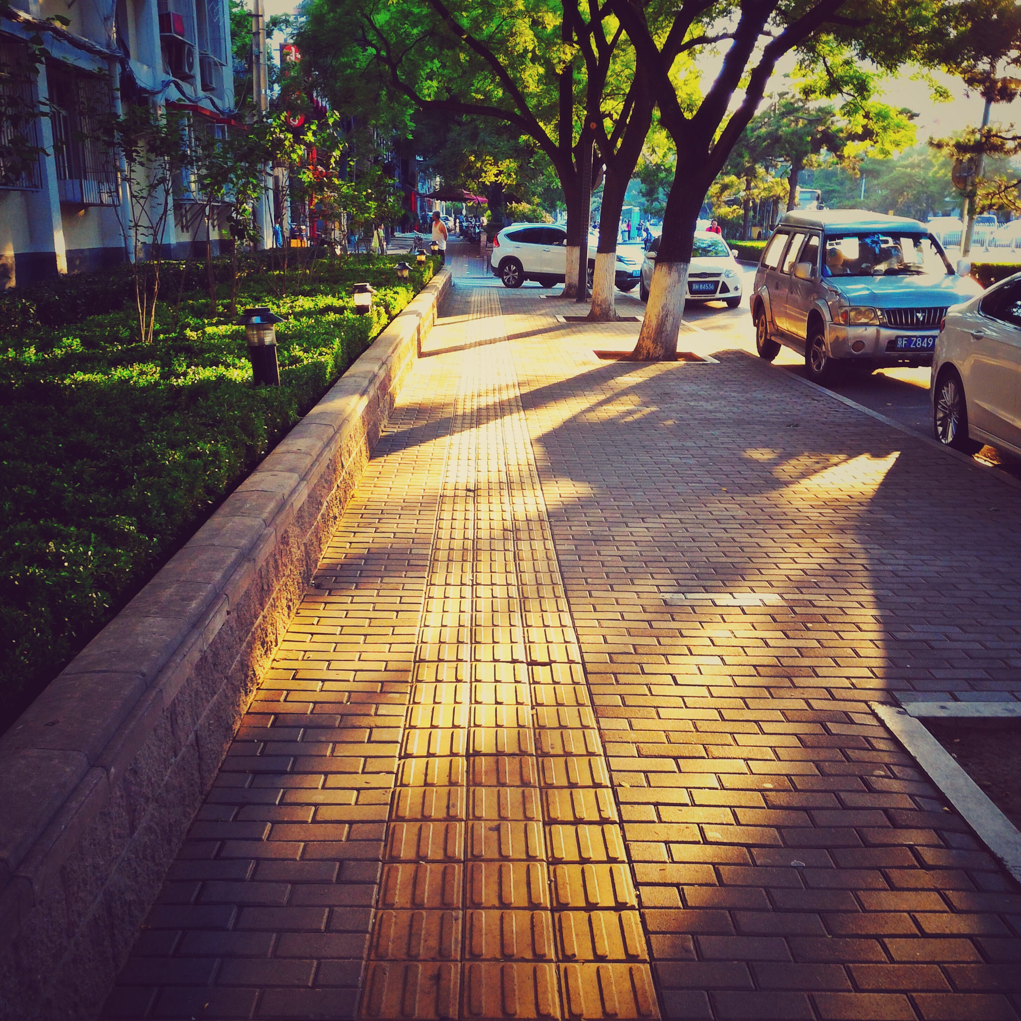 ASUS Z00ADB sample photo. Walking in the sunshine photography