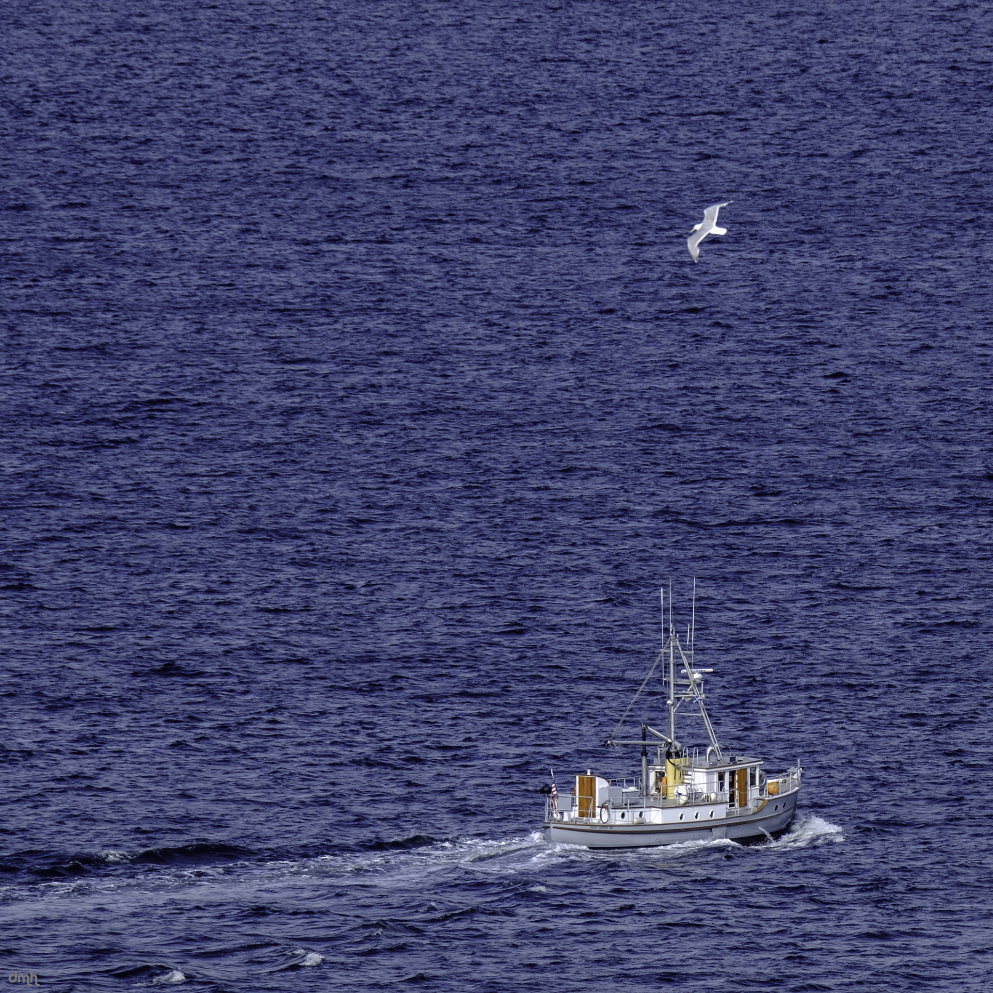 Fujifilm XF 100-400mm F4.5-5.6 R LM OIS WR sample photo. Afternoon sail photography