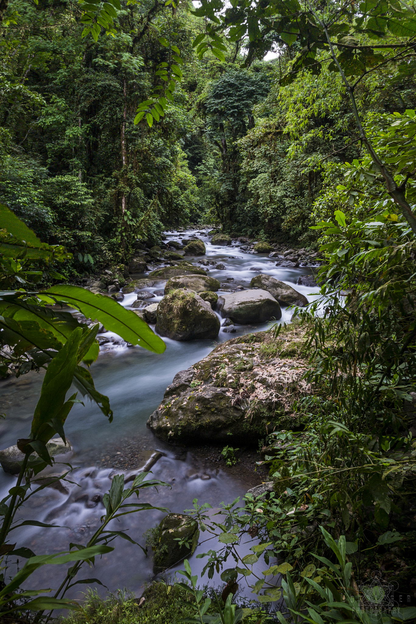 Panasonic Lumix DMC-G7 + Panasonic Lumix G 14mm F2.5 ASPH sample photo. Río gato - la marta wildlife reserve photography