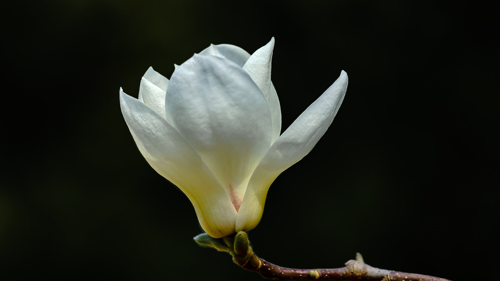Sony 70-400mm F4-5.6 G SSM II sample photo