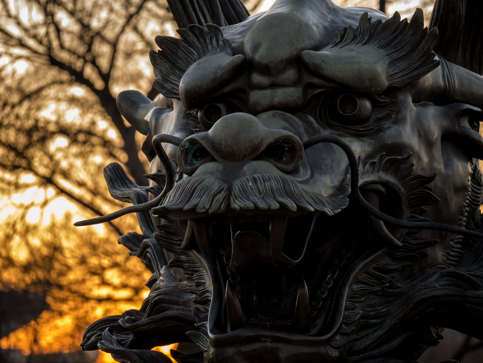 LUMIX G VARIO 45-150/F4.0-5.6 sample photo. Dragon in the sunset, chicago. photography