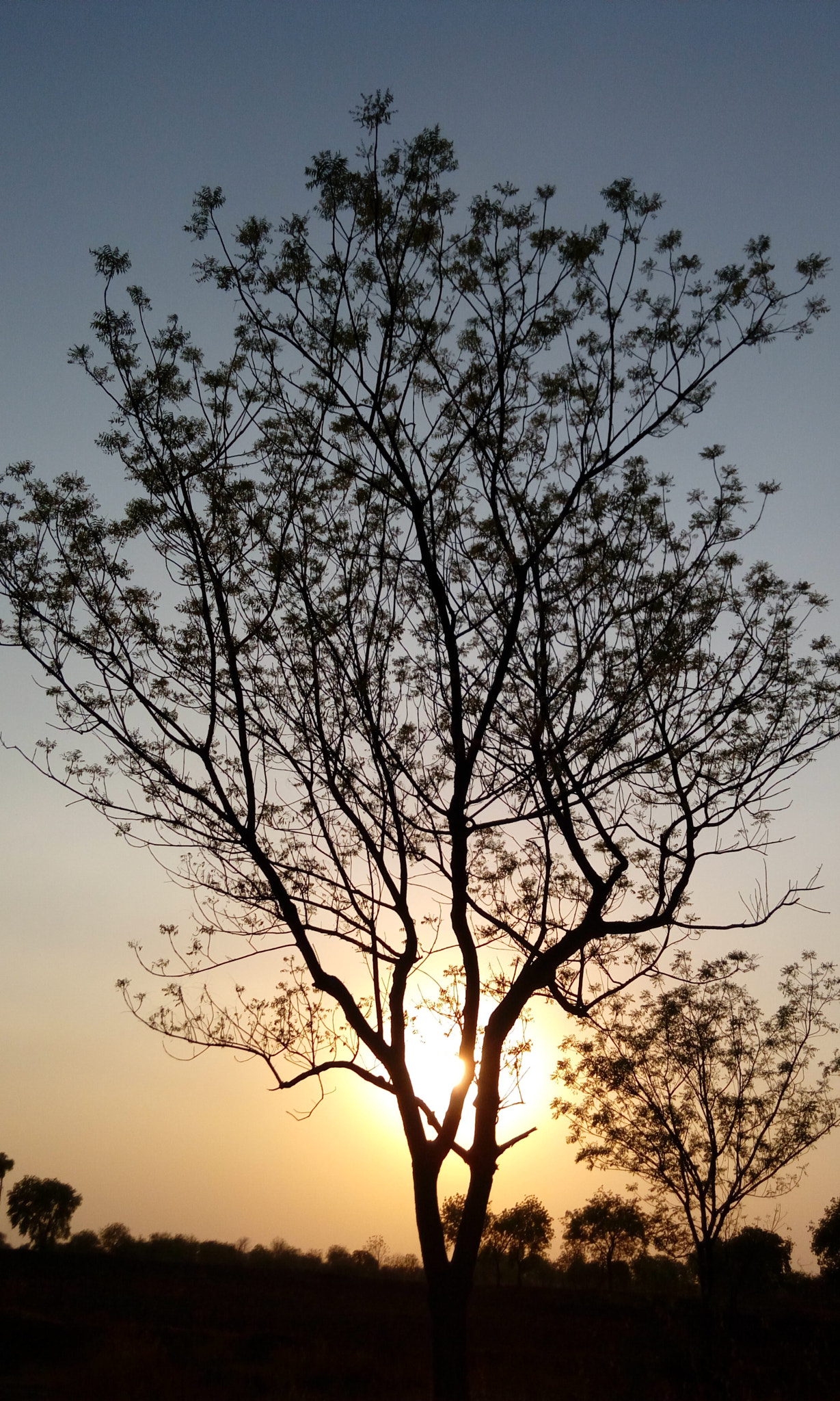 HTC DESIRE 820G PLUS DUAL SIM sample photo. Sunset photography