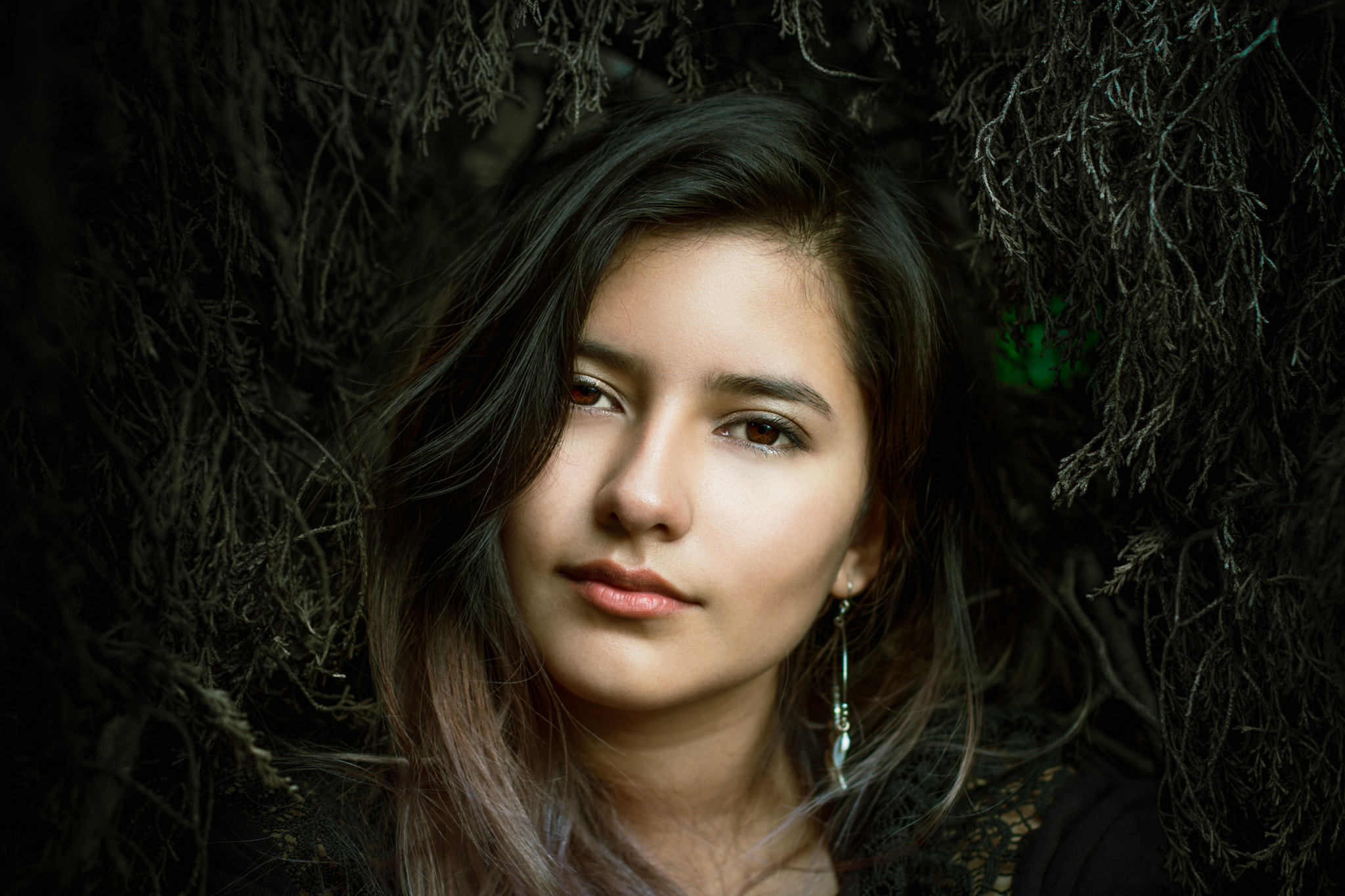 Canon EOS 70D + Canon EF 50mm F1.4 USM sample photo. Into the woods photography