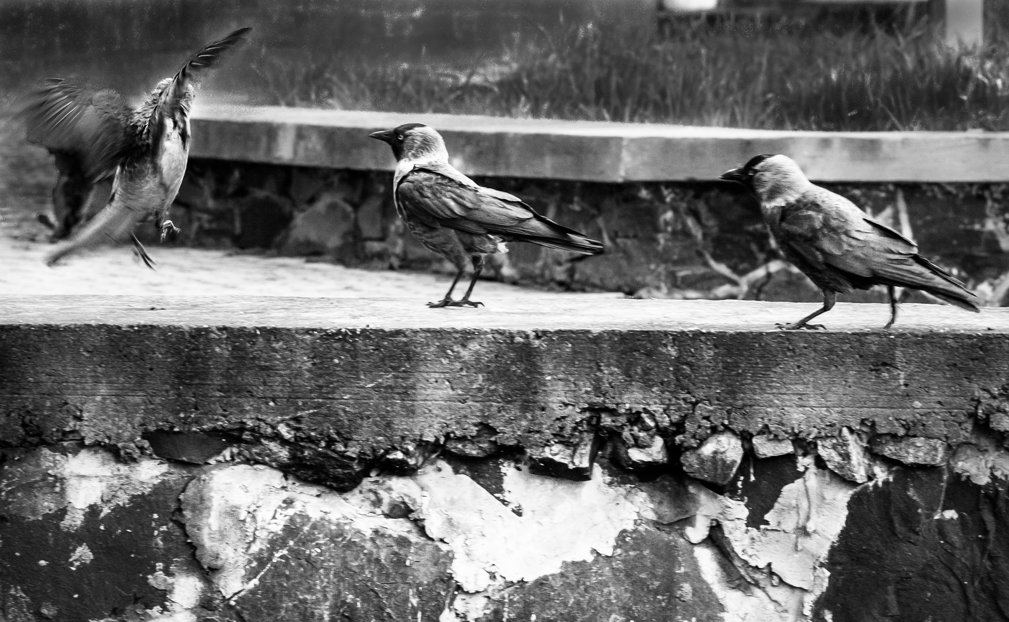 Canon EOS 450D (EOS Rebel XSi / EOS Kiss X2) sample photo. Safe landing photography
