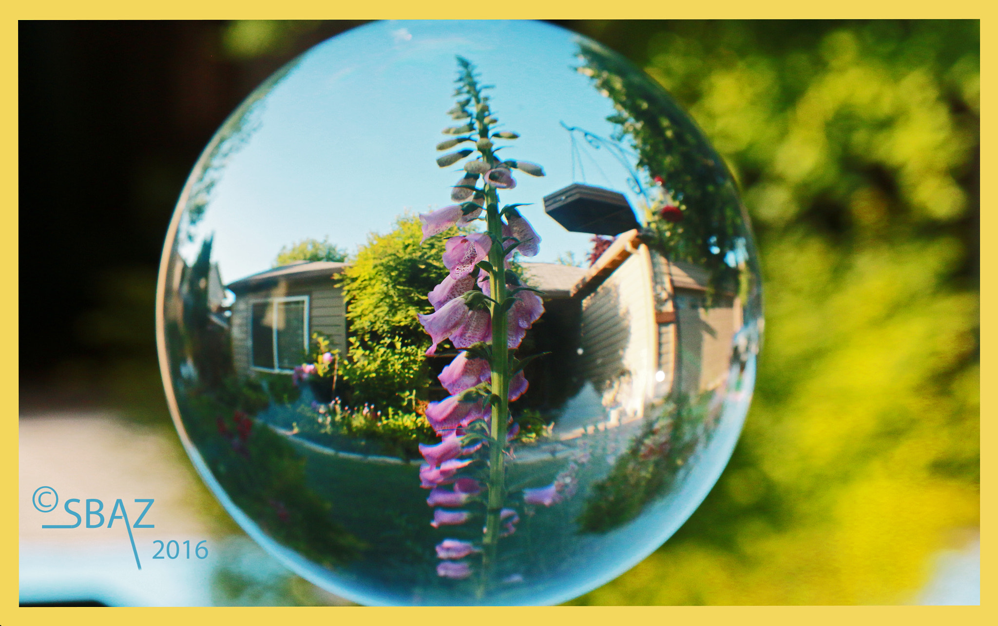 Canon EF-S 17-55mm F2.8 IS USM sample photo. Cry photography