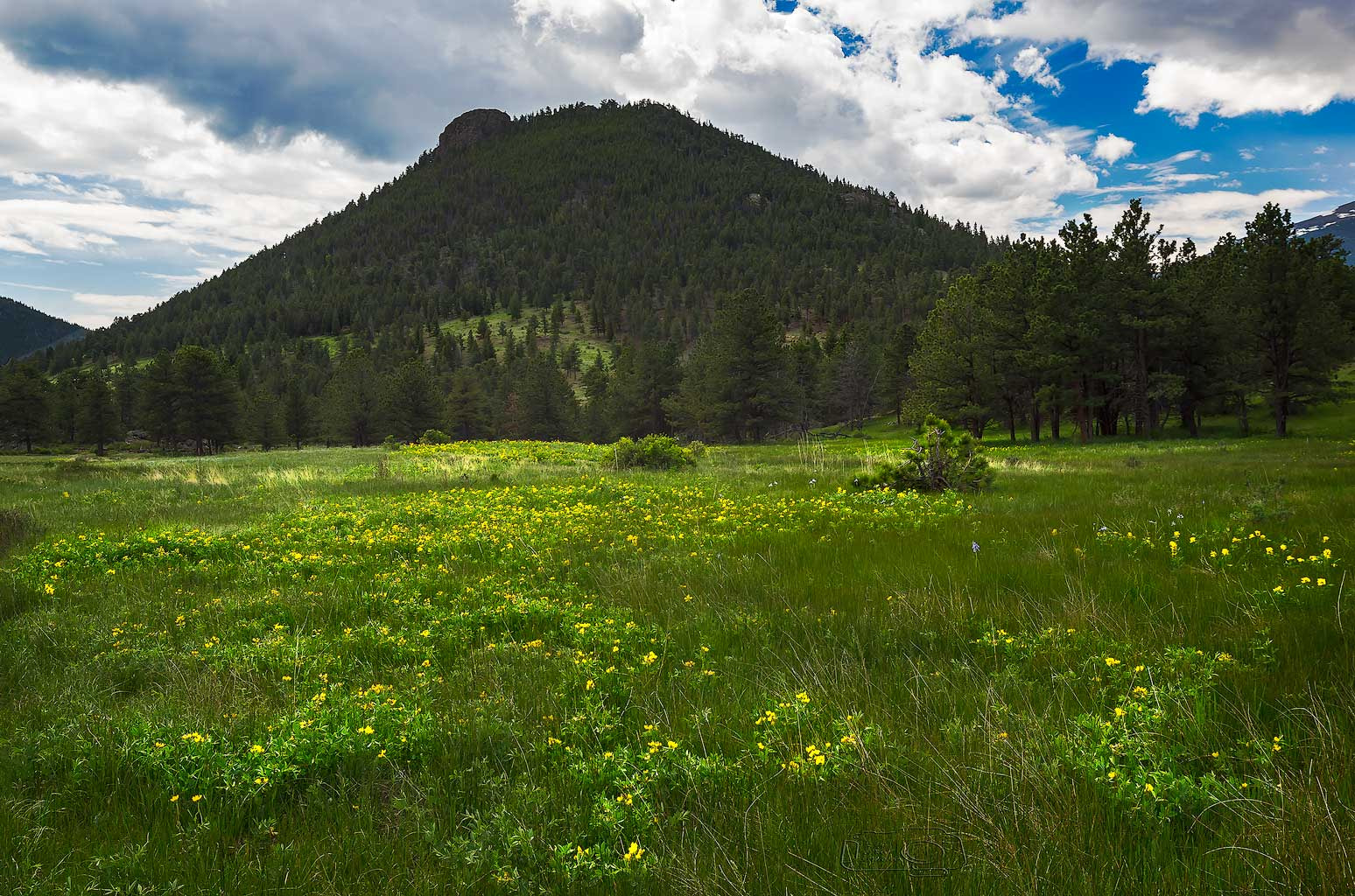 Sony a7R + Canon EF 16-35mm F2.8L II USM sample photo. Mountains photography