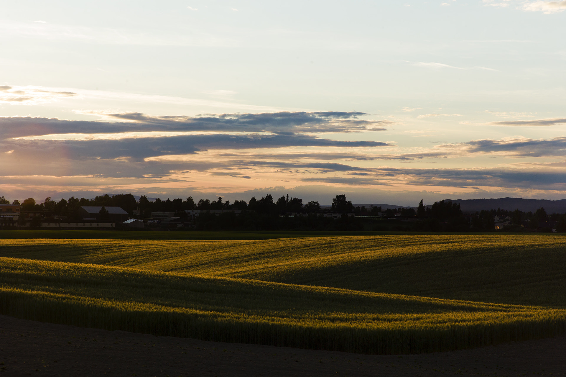 Leica Summicron-M 90mm f/2 (II) sample photo. L1015161.jpg photography