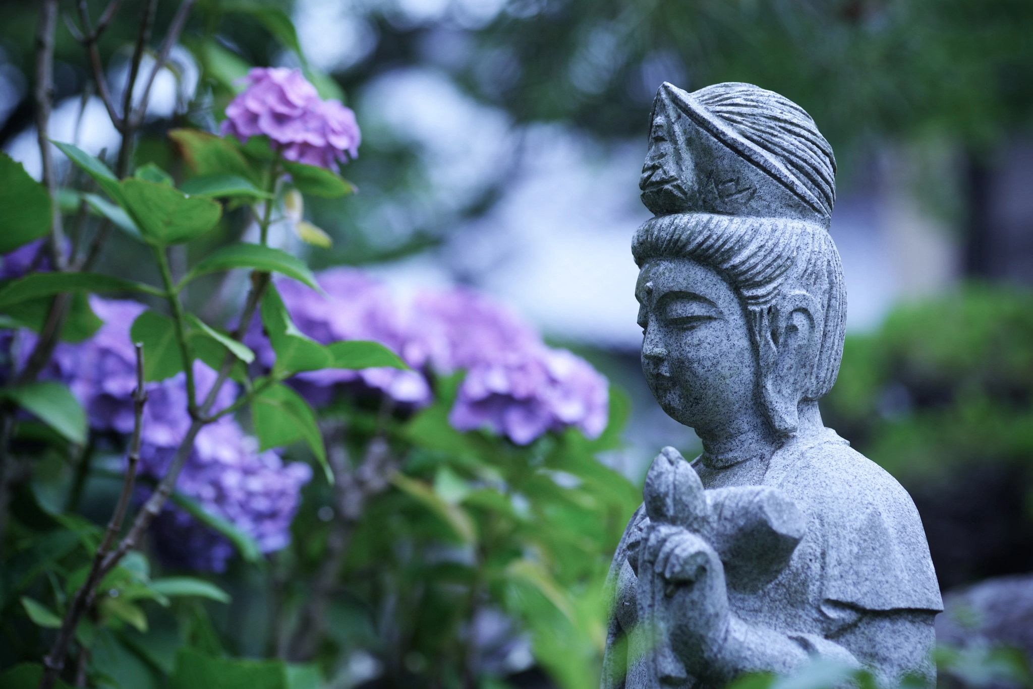 Pentax smc D-FA 100mm F2.8 Macro WR sample photo. Buddha statue and hydrangea photography