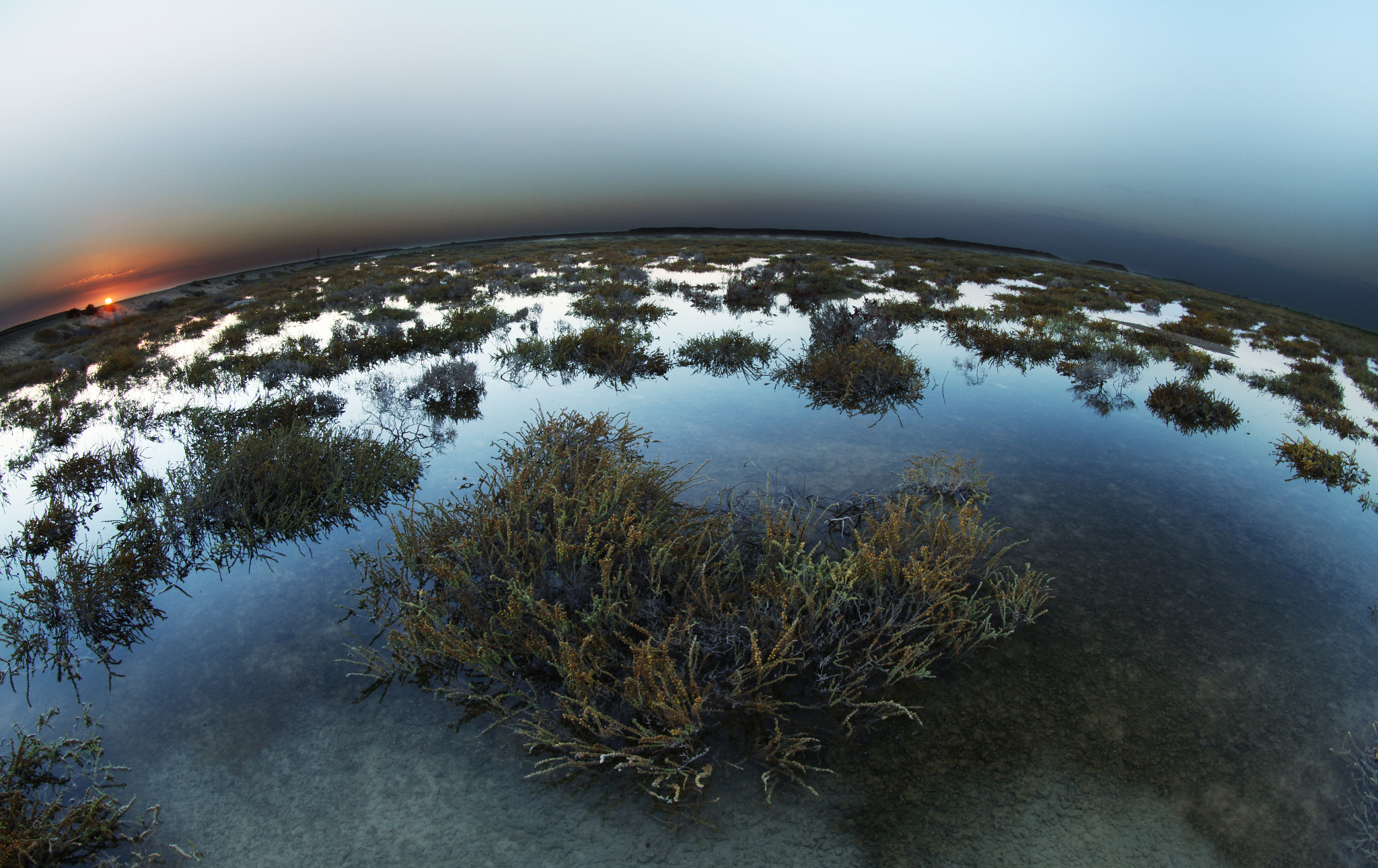 Canon EF 8-15mm F4L Fisheye USM sample photo. Mangrooves photography