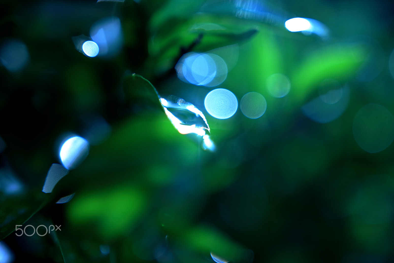 Sigma 18-35mm f/1.8 DC HSM sample photo. Waterdrops reflection photography
