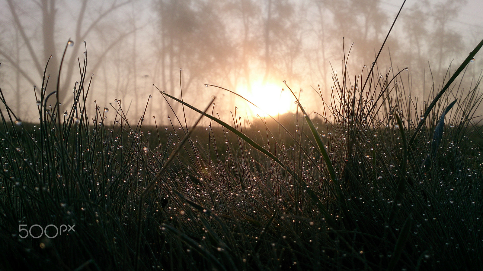 Sony Xperia ZR sample photo. Sunrise photography